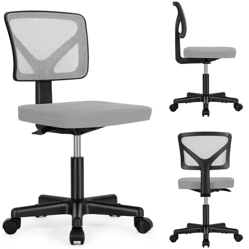 Low-Back Armless Mesh Office Chair with Lumbar Support, Adjustable Height Desk Chair for Study, Reading Room, Office