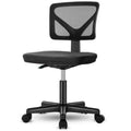 Low-Back Armless Mesh Office Chair with Lumbar Support, Adjustable Height Desk Chair for Study, Reading Room, Office
