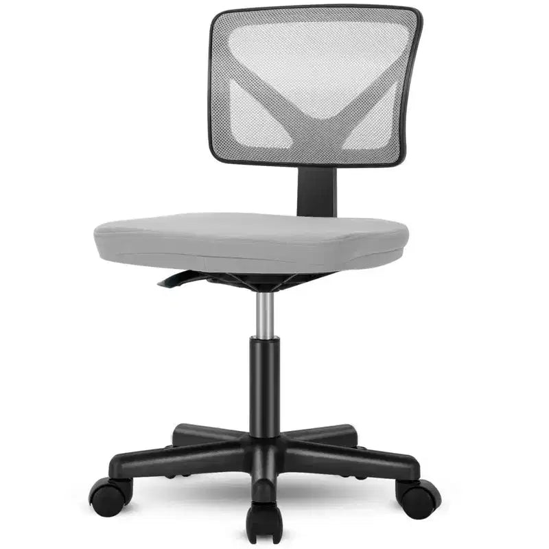 Low-Back Armless Mesh Office Chair with Lumbar Support, Adjustable Height Desk Chair for Study, Reading Room, Office